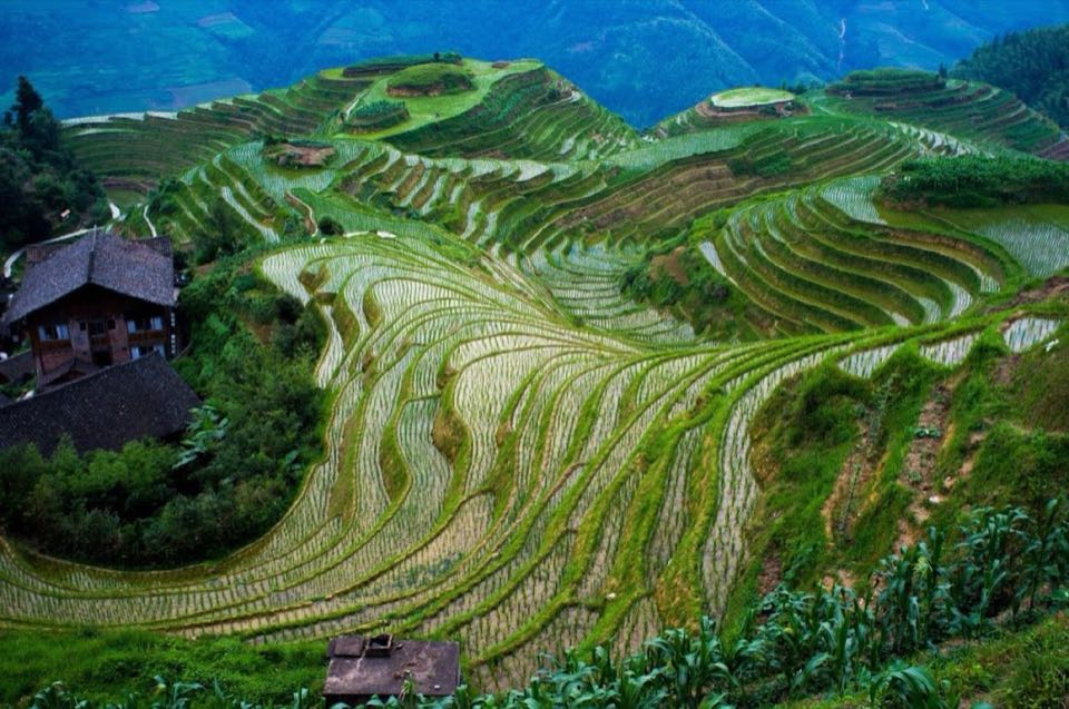 China 10Nights 11Days