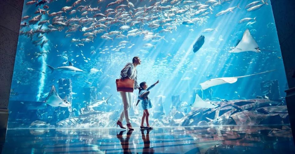Dubai 05Nights 06Days