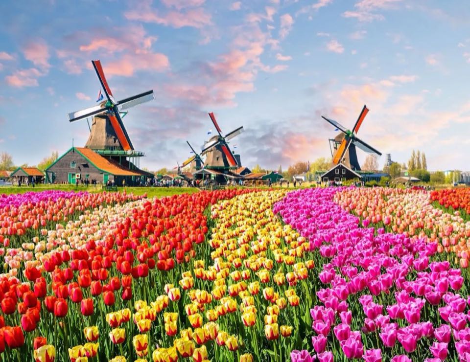 France & Netherlands 12Nights 13Days