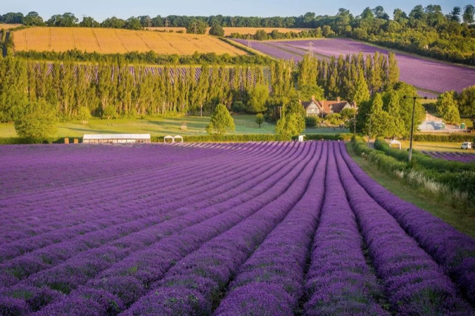 French Adventure 09Nights 10Days