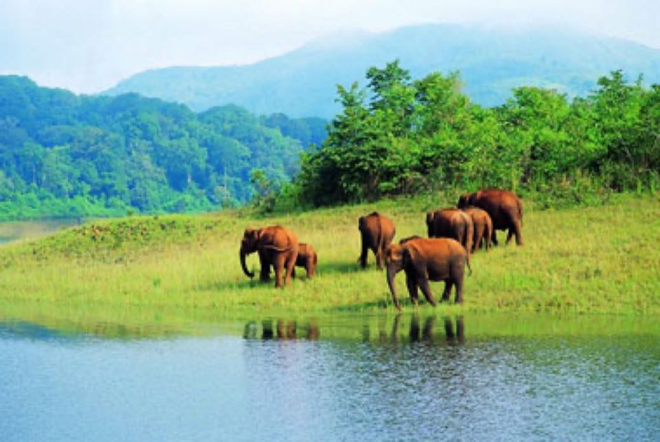 Kerala Hill Tour 03Nights 04Days