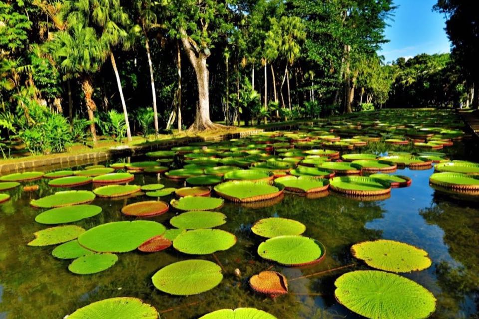 Mauritius 06Nights 07Days