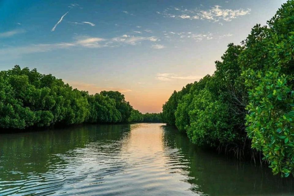Pondicherry & Pichavaram 02Nights 03Days