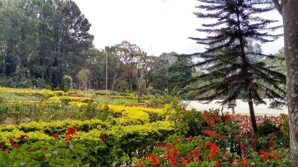 Pondicherry to Yercaud 01Night 02Days