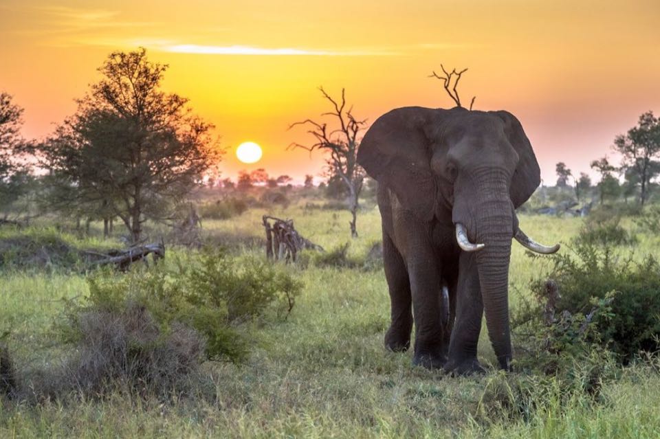 South Africa 10Nights 11Days
