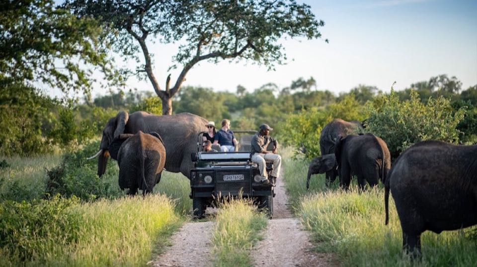 South Africa 10Nights 11Days