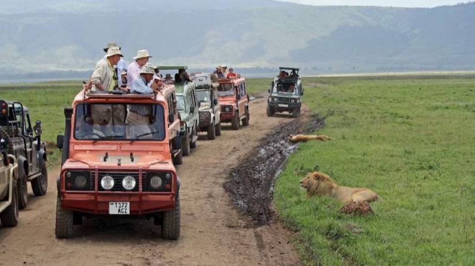 Tanzania & Zanzibar 08Nights 09Days